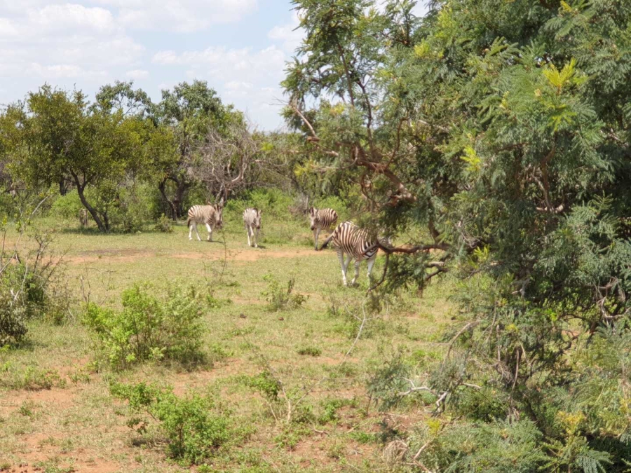 4 Bedroom Property for Sale in Brits Rural North West